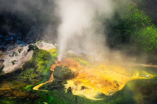 GE09 - Source of yellow - Rotorua, Bay of Plenty.jpg
